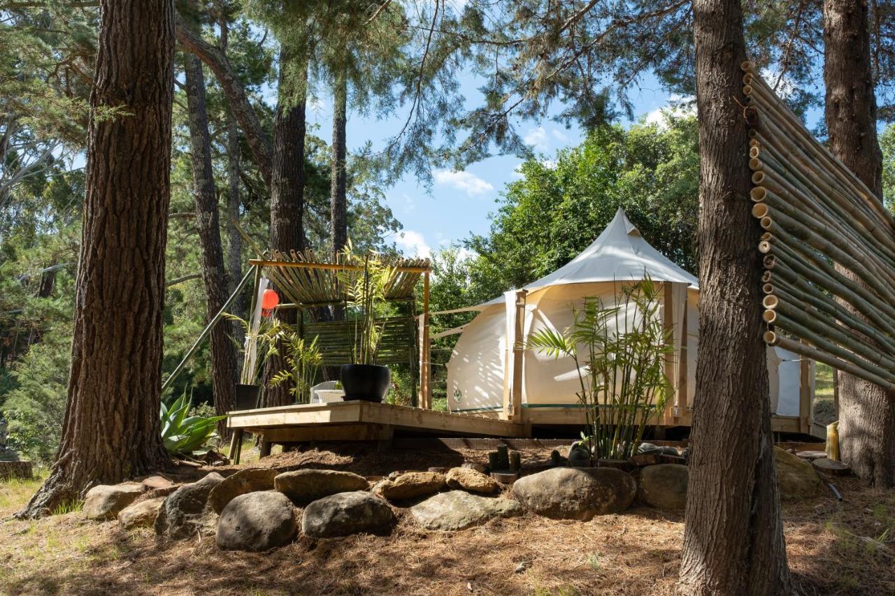 Kerikeri Glamping Hotell Eksteriør bilde